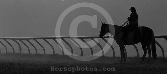 morningmist02_jd