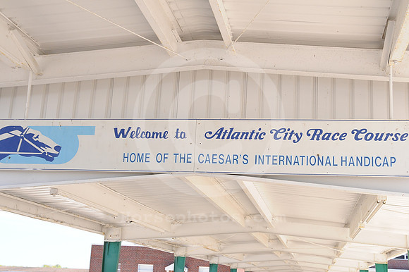 atlanticcityracecourse02_me