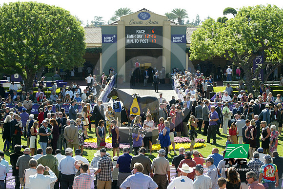 bc13_paddock01tvg_cg