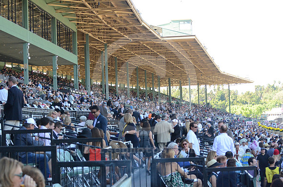 bc13_crowd04_hr