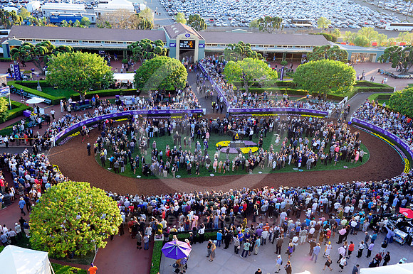 bc13paddock05_ljp