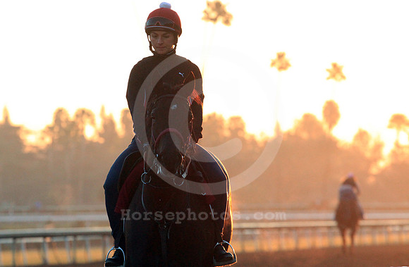 santaanitamorning50_cg