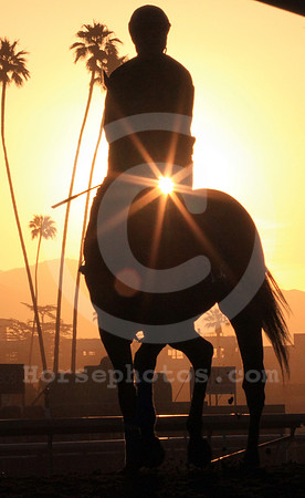 santaanitamorning52_cg