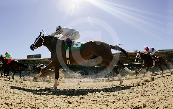 santaanitacushiontrackracing01