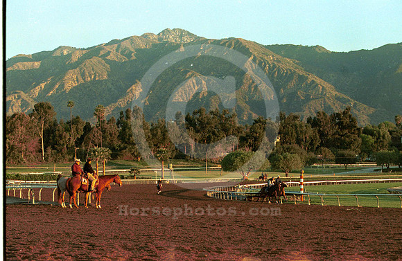 santa anita-morning