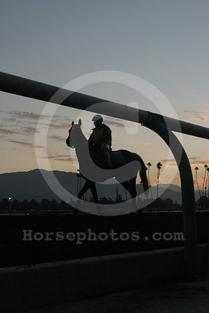 santaanita33