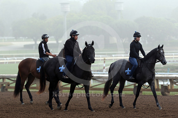 santaanitamorning71_cg