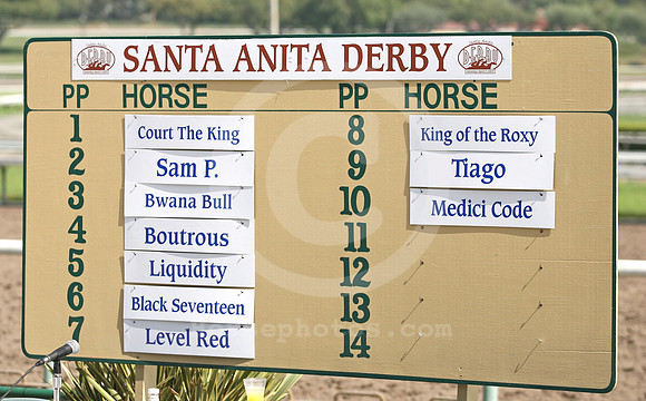 2007santaanitaderby_draw01_cp