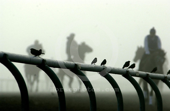 santaanita05