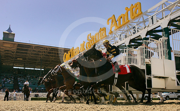 santaanitacushionstart01
