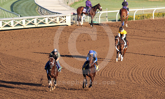 santaanitamorning36_cg