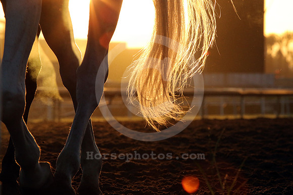 santaanitamorning68_cg