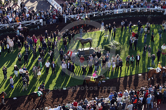 santaanitacrowd05_cg