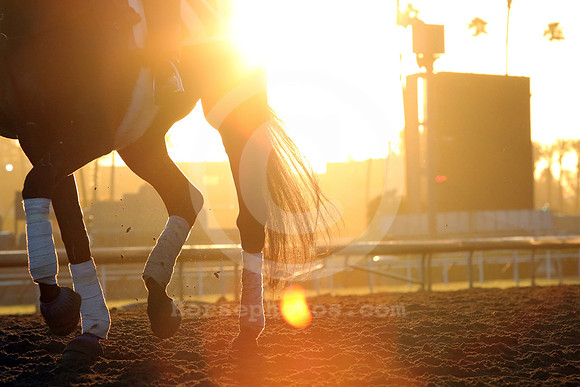 santaanitamorning70_cg