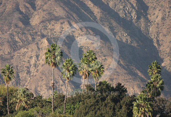 santaanitapark43_ev