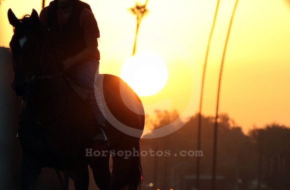 santaanitamorning56_cg