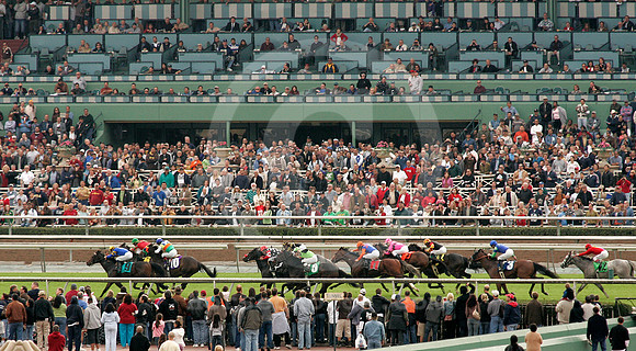 santaanitapark31