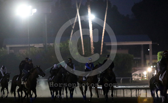 santaanitamorning74_cg