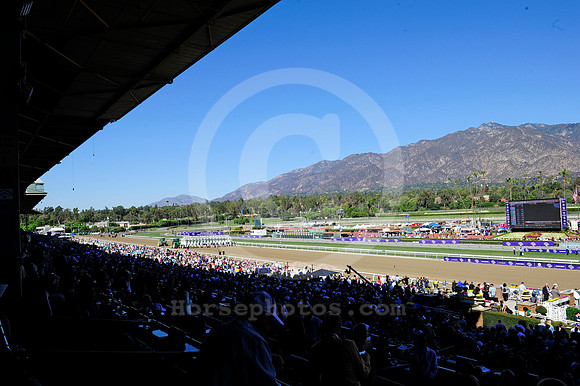 bc13_crowd07_ljp