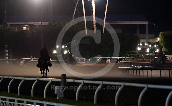 santaanitamorning73_cg