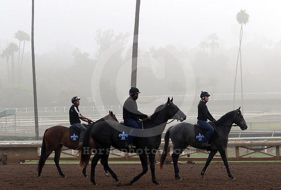 santaanitamorning72_cg