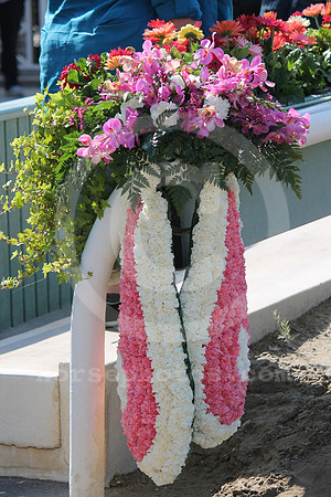 santaanitaderbyday14_cg
