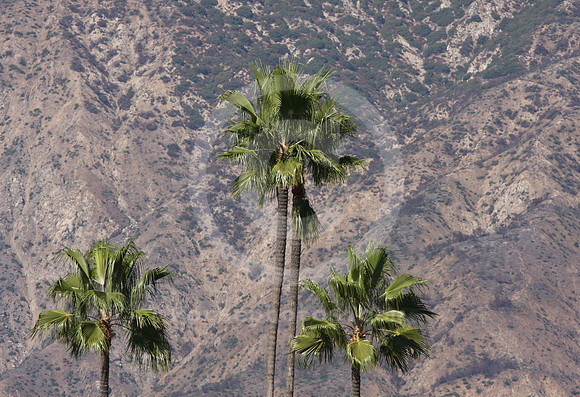 santaanitapark45_ev