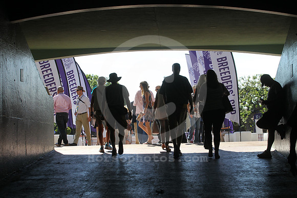 2016_breederscup_crowd01_st