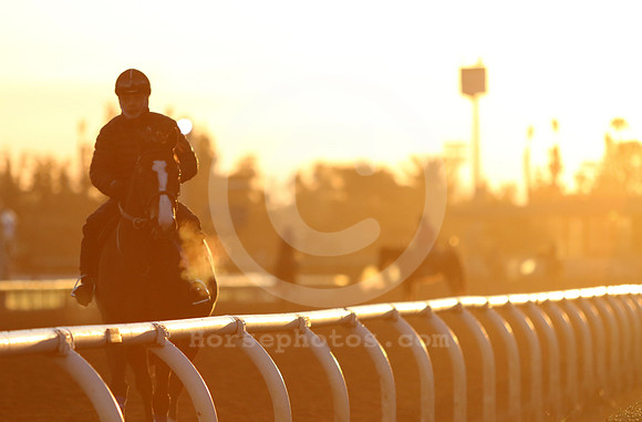 santaanitamorning62_cg
