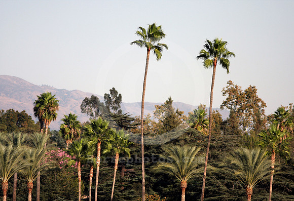 santaanitapark44_ev