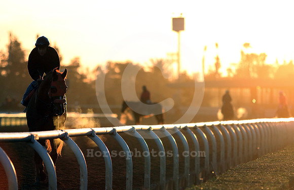 santaanitamorning63_cg