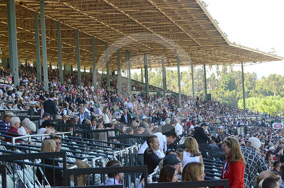 bc13_crowd03_hr