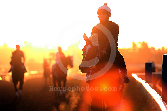 santaanitamorning57_cg