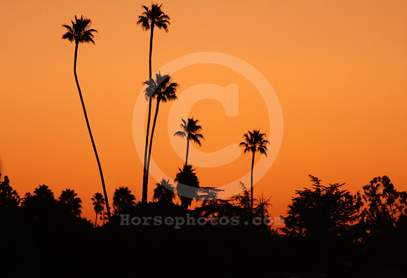 santaanitapark42_ev
