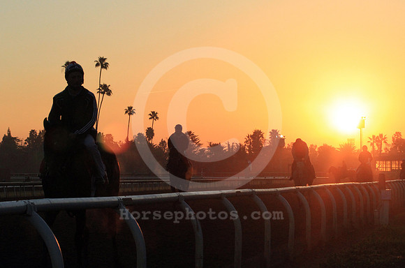 santaanitamorning49_cg
