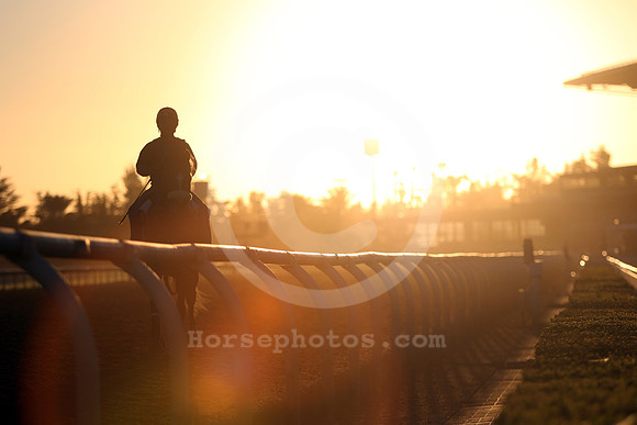 santaanitamorning65_cg