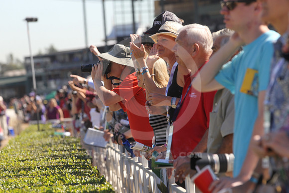 2016_breederscup_crowd03_st