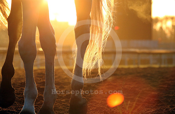 santaanitamorning67_cg
