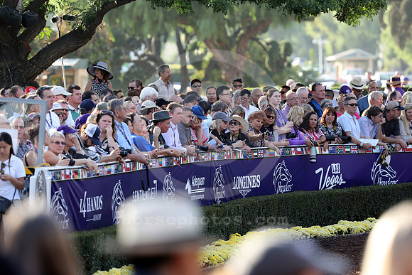 bc16crowds01_cg
