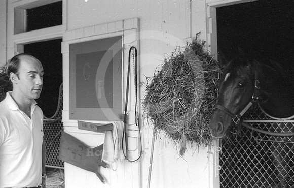 alydar02