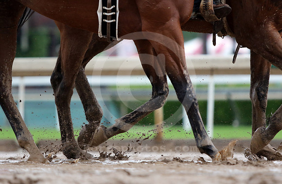 santaanitaderbyday17_cg