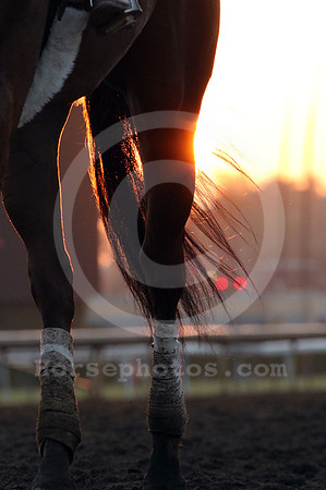 santaanitamorning55_cg
