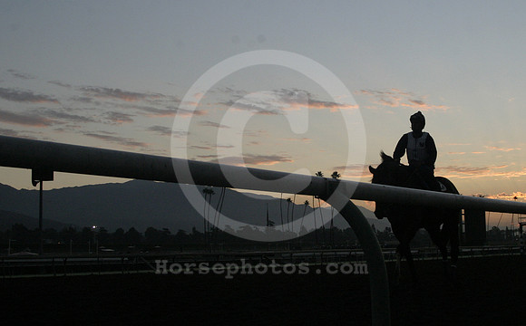 santaanita31