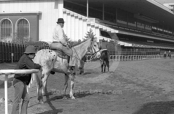 allen_jerkens151