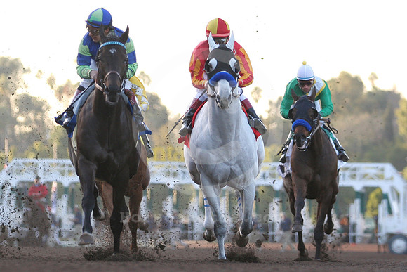 sanpasqual02_cp