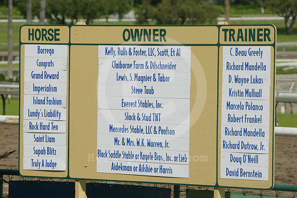 santaanitaboard01