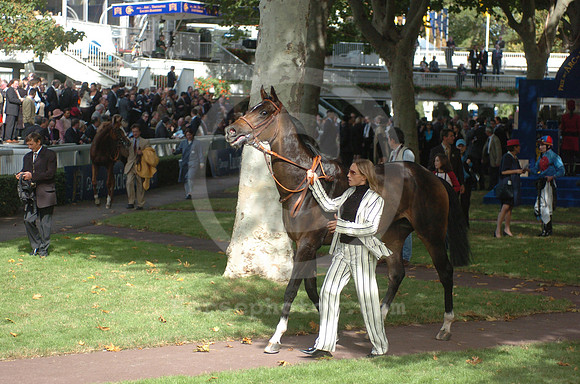 longchamp_paddock07_hr