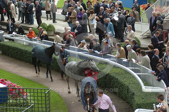 longchamp_paddock09_hr