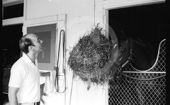 alydar01