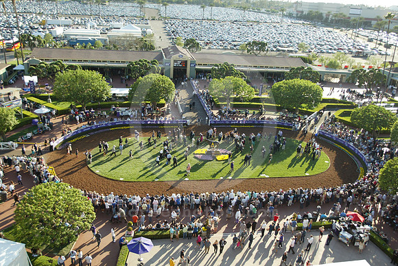 bc13_paddock03_cg